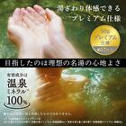 Bathclin Kiwami No Yu Hot Spring Bath Salt - Relaxing Forest - 600g
