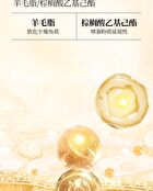 Veecci Freely Painted Highlighter & Shading - 3 Types - V02 - 9g