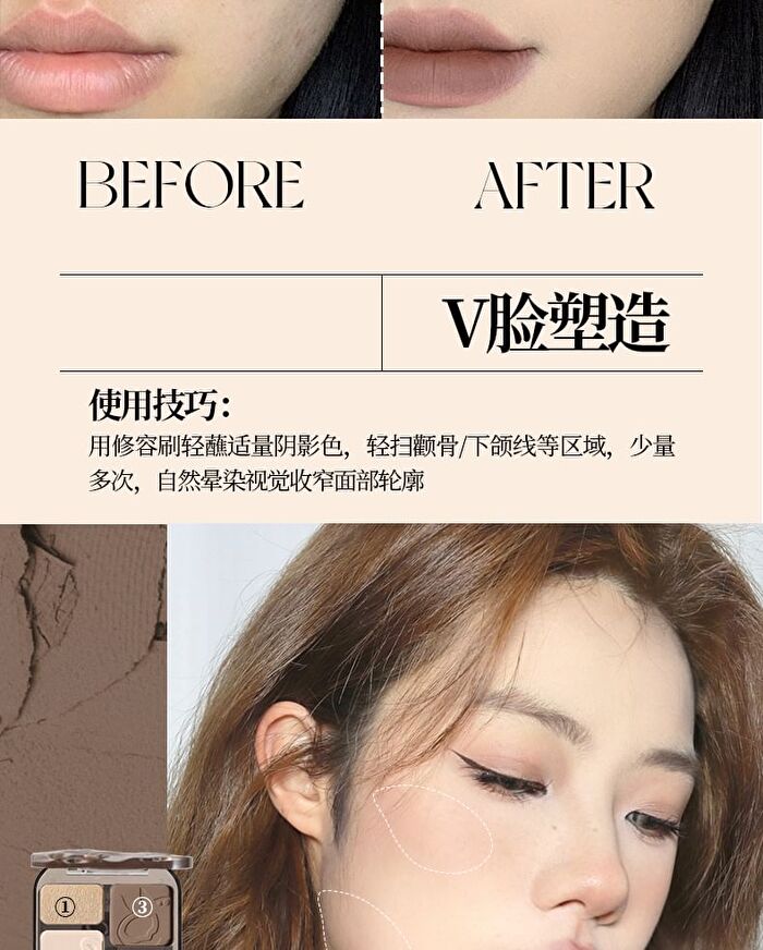 Veecci Freely Painted Highlighter & Shading - 3 Types - V01 - 9g