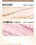 Veecci Freely Painted Highlighter & Shading - 3 Types - V01 - 9g