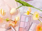 Hold Live Three Colors Blusher (3-5) - #103 Pink Orange - 13g