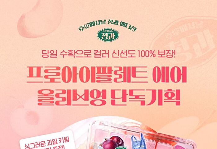Pro Eye Palette Air K-Market Edition - 2 Types - #09 Peach Mate Apple