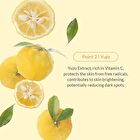 Vita Glow Mask Set - 2024 Version - 27g x 5 sheets