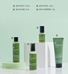 Deep Green Tea Lotion - 2024 Version - 120ml