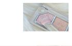 Mood Shower Face Palette Highlighter Version - 2 Types - No. 101 Ballerino Shower