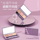 Amortals Rejuvenating 3 Colors Concealer - 2 Types - 01# Natural - 1.2g*3
