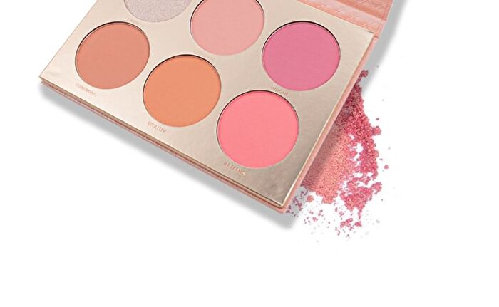 6 Colours Blush Palette - B109A (4.5g x 6)