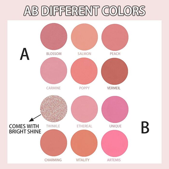 6 Colours Blush Palette - B109A (4.5g x 6)