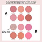 6 Colours Blush Palette - B109A (4.5g x 6)