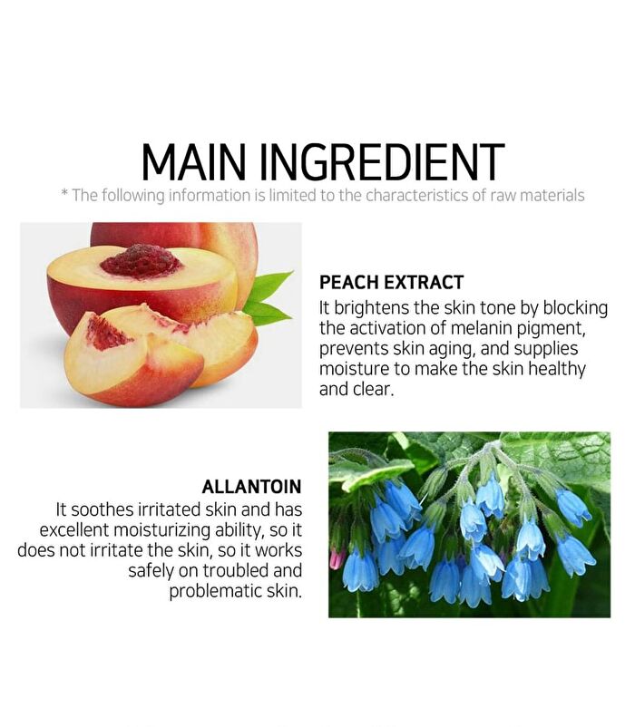 Fruit Essence Mask - 12 Types - Mango