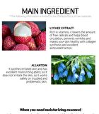 Fruit Essence Mask - 12 Types - Shine Muscat