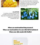 Fruit Essence Mask - 12 Types - Shine Muscat