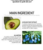 Fruit Essence Mask - 12 Types - Shine Muscat