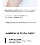 Fruit Essence Mask - 12 Types - Olive