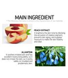 Fruit Essence Mask - 12 Types - Coconut