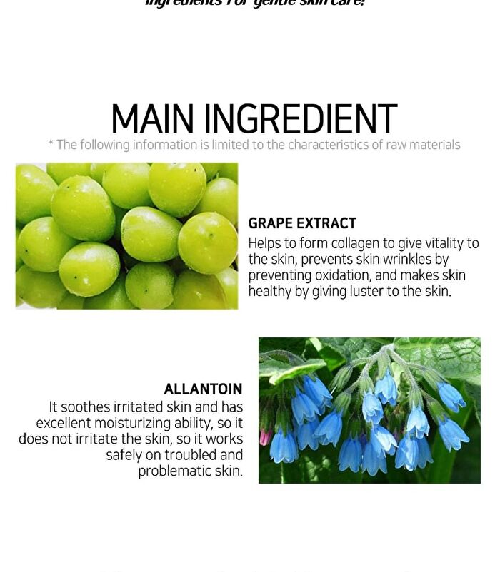 Fruit Essence Mask - 12 Types - Coconut