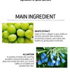 Fruit Essence Mask - 12 Types - Tomato