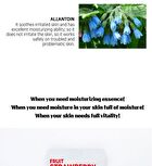 Fruit Essence Mask - 12 Types - Tomato