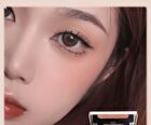 Original Artist Red Maple Shadow Blusher - 4 Colors - 4# Light Pink - 5g