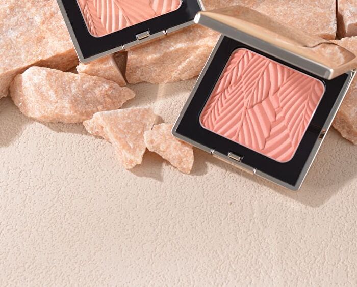 Original Artist Red Maple Shadow Blusher - 4 Colors - 4# Light Pink - 5g