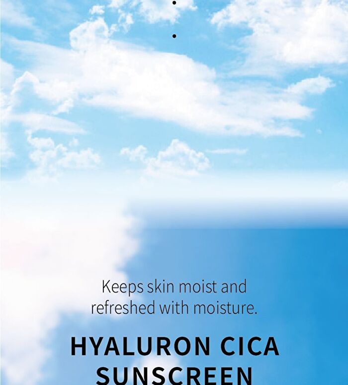 Hyaluron Cica Sun Screen - 50g