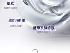SymWhite 377 Skin Genesis Whitening Emulsion - 100g