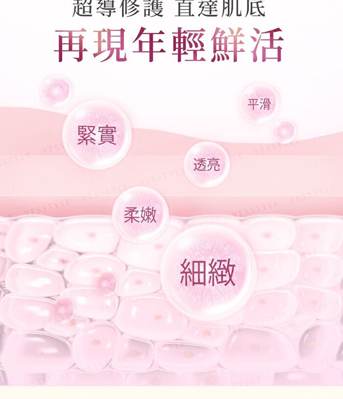 Placenta EX+ Tablets - 60 tablets