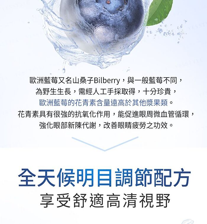 Bilberry Eyebright Veg Capsules - 60 capsules