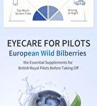 Bilberry Eyebright Veg Capsules - 60 capsules