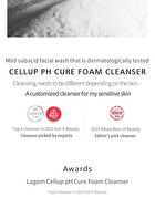 Lagom Cellup pH Cure Foam Cleanser Mini - 20ml