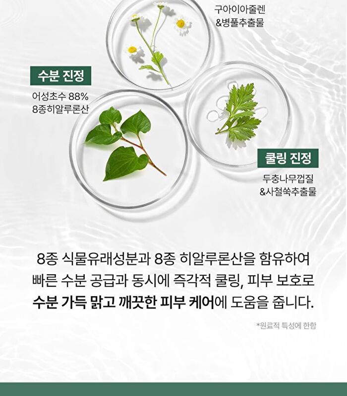 Real Heartleaf Soothing Daily Mask - 40 sheets