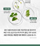 Real Heartleaf Soothing Daily Mask - 40 sheets