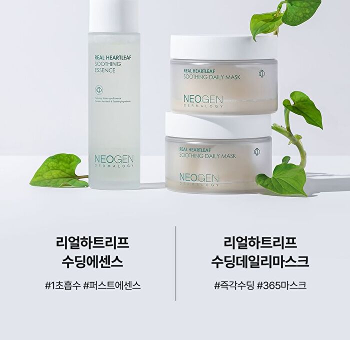 Real Heartleaf Soothing Daily Mask - 40 sheets