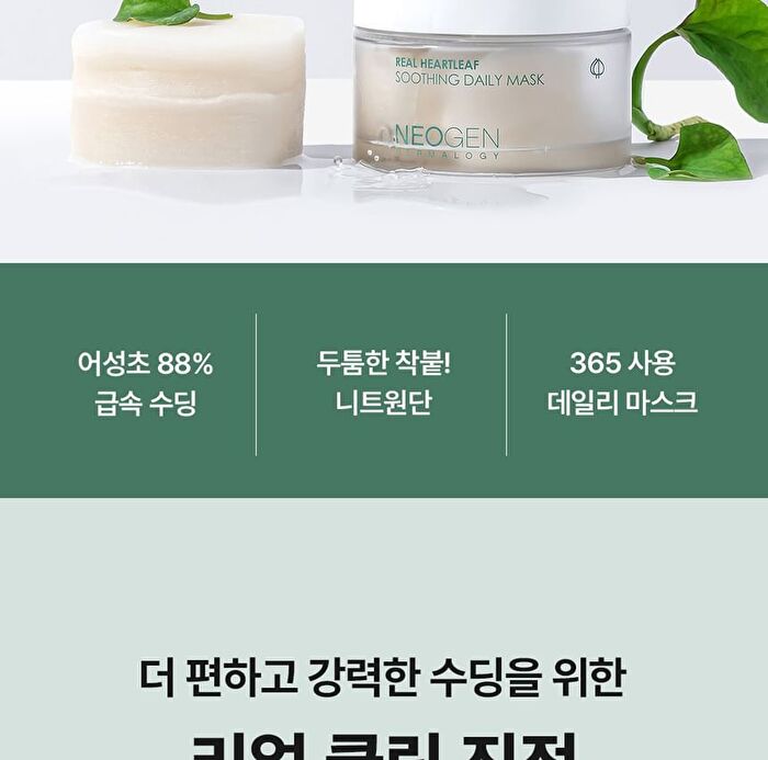 Real Heartleaf Soothing Daily Mask - 40 sheets