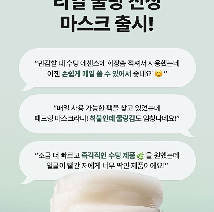 Real Heartleaf Soothing Daily Mask - 40 sheets