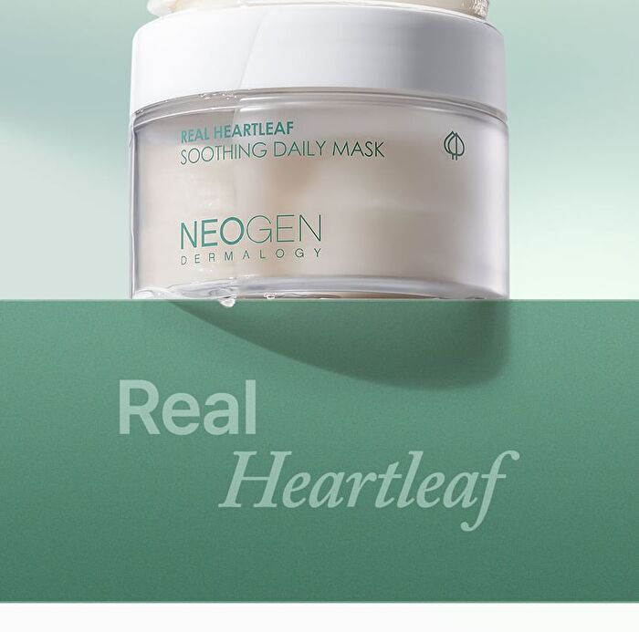 Real Heartleaf Soothing Daily Mask - 40 sheets