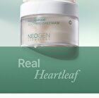 Real Heartleaf Soothing Daily Mask - 40 sheets