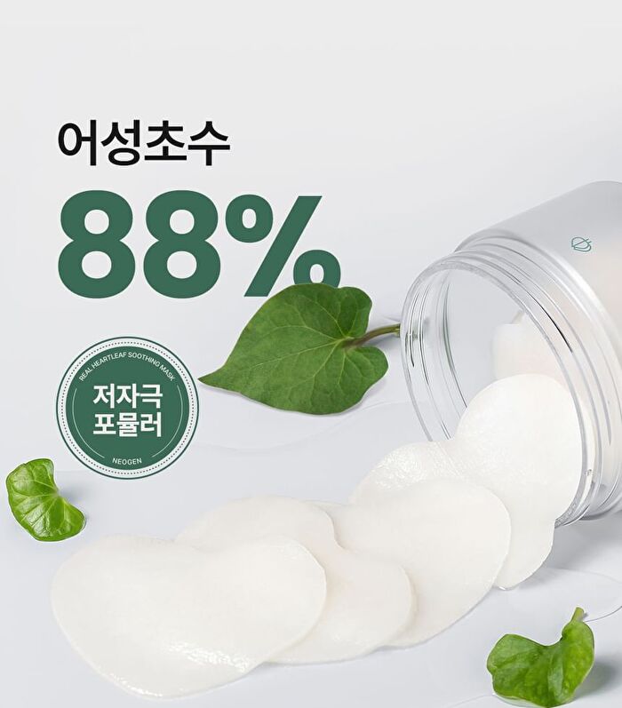 Real Heartleaf Soothing Daily Mask - 40 sheets