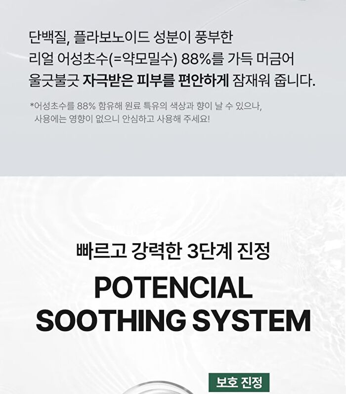 Real Heartleaf Soothing Daily Mask - 40 sheets