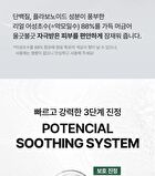 Real Heartleaf Soothing Daily Mask - 40 sheets