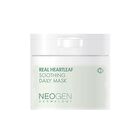 Real Heartleaf Soothing Daily Mask - 40 sheets