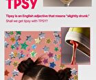 Tpsy Plumply Lip Liner - 4 Colors - #02 Dusty Rose