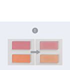 romand Better Than Cheek Spring Fever Edition - 2 Colors - S02 Lychee Chip