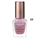 Foundation Nail Colors - 09 Dusty Pink