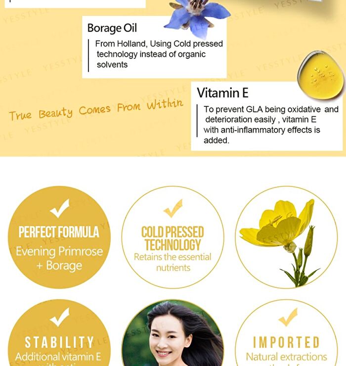 Evening Primrose Oil Softgel - 60 softgels