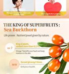 Sea Buckthorn Oil Softgel - 60 softgels