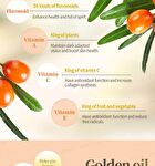 Sea Buckthorn Oil Softgel - 60 softgels