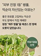 mixsoon Essence Mini - 3 Types - Centella Asiatica