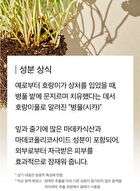 mixsoon Essence Mini - 3 Types - Centella Asiatica