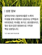 mixsoon Essence Mini - 3 Types - Centella Asiatica
